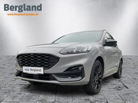 Used FORD KUGA Hybrid 2023 Ad 