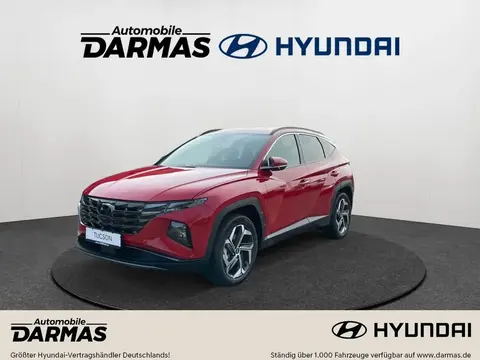 Annonce HYUNDAI TUCSON Hybride 2024 d'occasion 