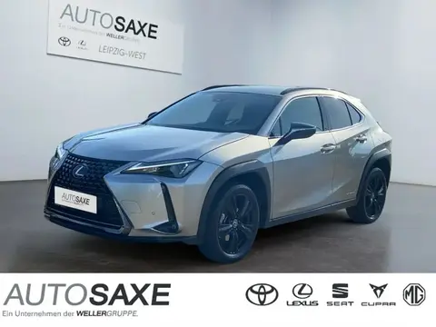 Used LEXUS UX Hybrid 2021 Ad 