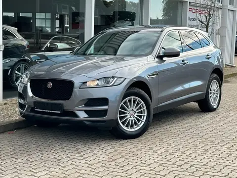 Used JAGUAR F-PACE Diesel 2019 Ad 