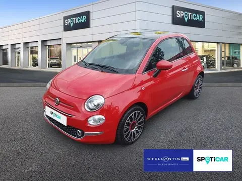 Used FIAT 500 Petrol 2023 Ad 