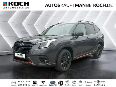 Annonce SUBARU FORESTER Hybride 2024 d'occasion 