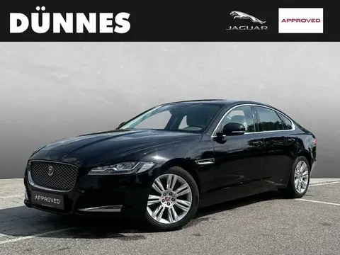 Used JAGUAR XF Diesel 2019 Ad 