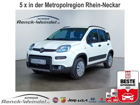 Annonce FIAT PANDA Essence 2021 d'occasion 