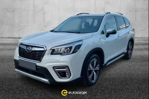 Used SUBARU FORESTER Hybrid 2020 Ad 