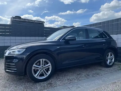 Used AUDI Q5 Petrol 2019 Ad 