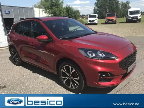 Used FORD KUGA Hybrid 2022 Ad Germany