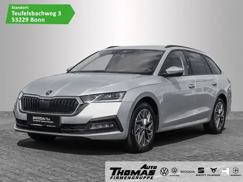 Annonce SKODA OCTAVIA Diesel 2023 d'occasion 