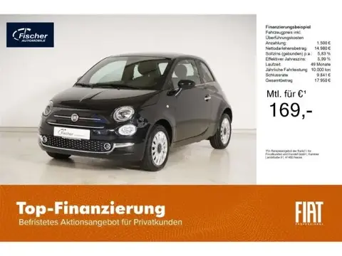 Used FIAT 500 Petrol 2024 Ad 