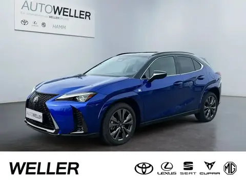 Used LEXUS UX Hybrid 2024 Ad 