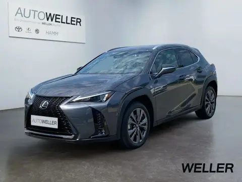 Used LEXUS UX Hybrid 2024 Ad 