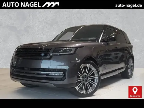 Used LAND ROVER RANGE ROVER Diesel 2024 Ad 