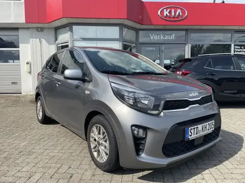 Annonce KIA PICANTO Essence 2024 d'occasion 