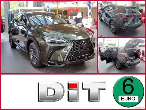 Used LEXUS NX Hybrid 2024 Ad 