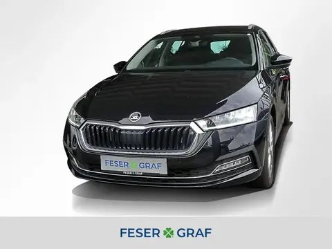 Annonce SKODA OCTAVIA Essence 2024 d'occasion 