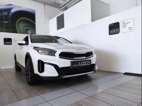 Annonce KIA XCEED Hybride 2023 d'occasion 