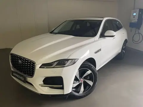 Used JAGUAR F-PACE Hybrid 2021 Ad 