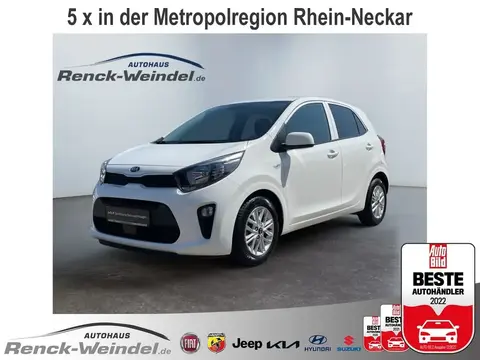 Annonce KIA PICANTO Essence 2021 d'occasion 