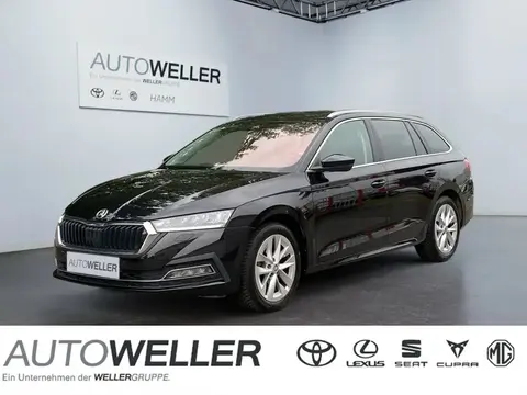 Used SKODA OCTAVIA Diesel 2021 Ad 