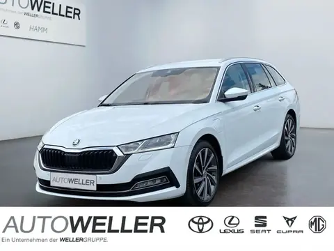 Used SKODA OCTAVIA Hybrid 2021 Ad 