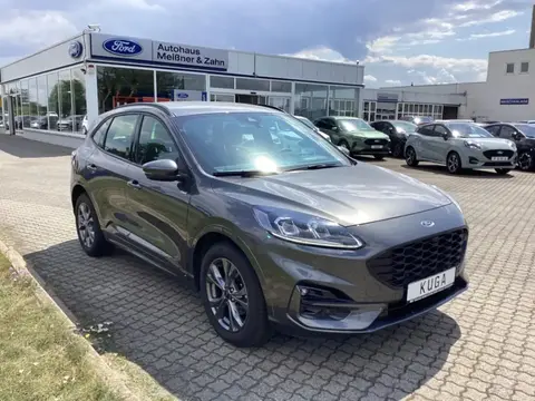 Annonce FORD KUGA Essence 2023 d'occasion 