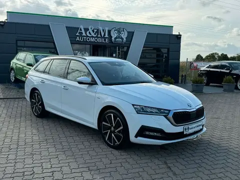 Annonce SKODA OCTAVIA Diesel 2021 d'occasion 