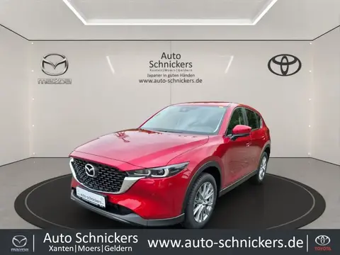 Annonce MAZDA CX-5 Diesel 2023 d'occasion Allemagne