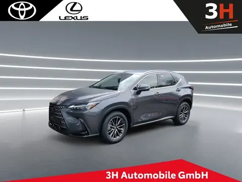 Annonce LEXUS NX Hybride 2024 d'occasion 