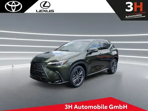 Used LEXUS NX Hybrid 2024 Ad 