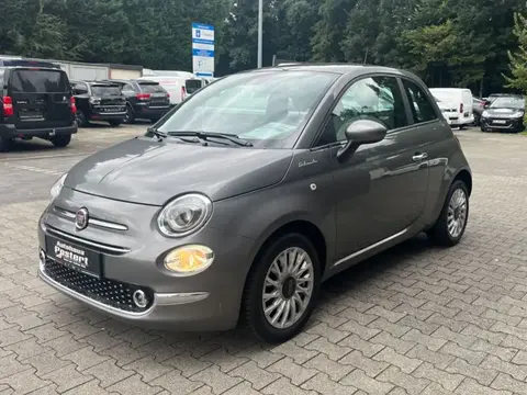 Used FIAT 500 Petrol 2021 Ad 