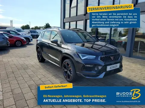 Used CUPRA ATECA Petrol 2024 Ad 