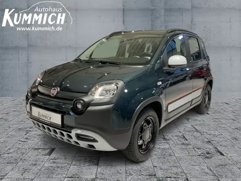 Used FIAT PANDA Hybrid 2024 Ad 