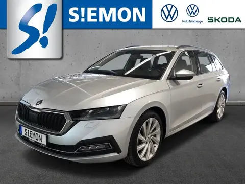 Used SKODA OCTAVIA Diesel 2020 Ad 