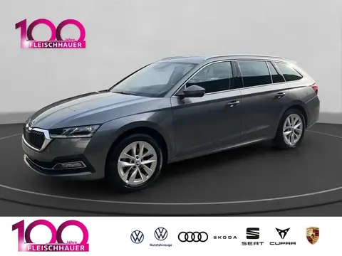 Used SKODA OCTAVIA Diesel 2023 Ad 