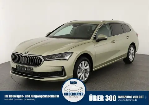 Used SKODA SUPERB Diesel 2024 Ad 