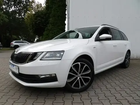 Annonce SKODA OCTAVIA Diesel 2019 d'occasion 