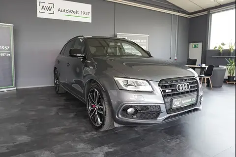 Used AUDI SQ5 Diesel 2017 Ad 