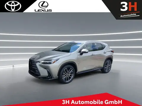 Annonce LEXUS NX Hybride 2024 d'occasion 