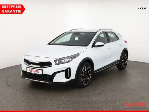 Annonce KIA XCEED Essence 2023 d'occasion 