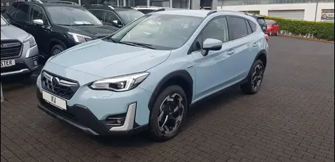 Annonce SUBARU XV Essence 2021 d'occasion 