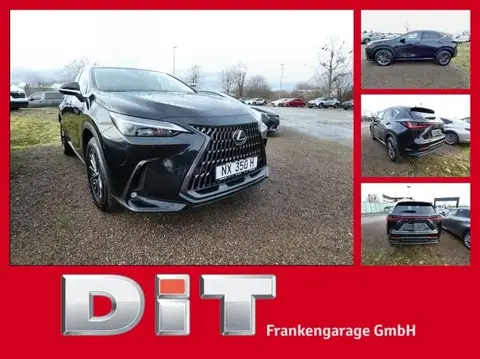 Used LEXUS NX Hybrid 2024 Ad 