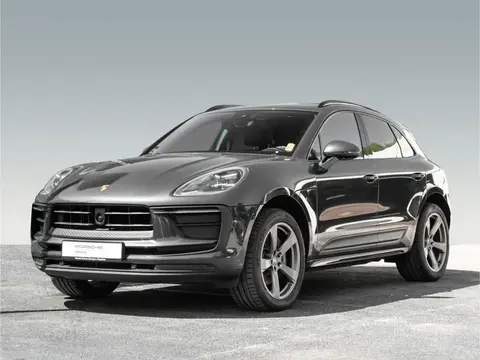 Used PORSCHE MACAN Petrol 2022 Ad 