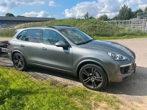 Used PORSCHE CAYENNE Diesel 2016 Ad 