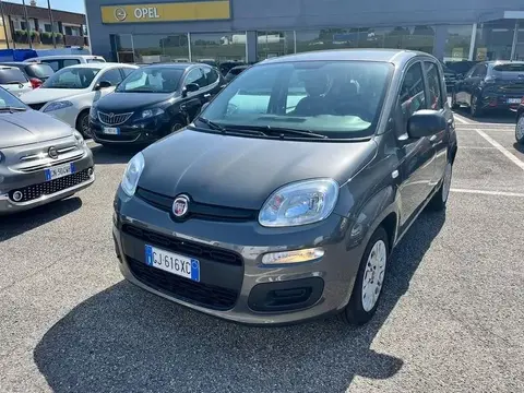 Used FIAT PANDA Hybrid 2022 Ad 