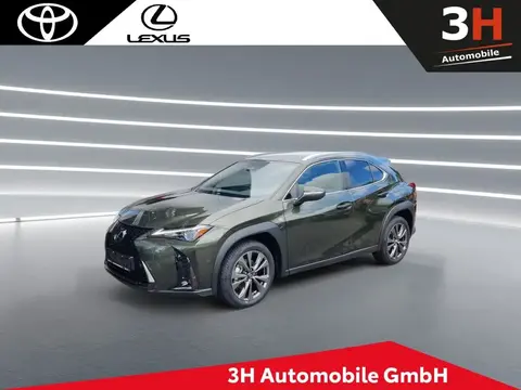 Annonce LEXUS UX Hybride 2024 d'occasion 