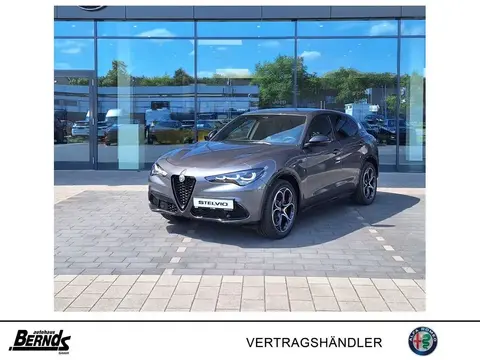 Used ALFA ROMEO STELVIO Diesel 2024 Ad 