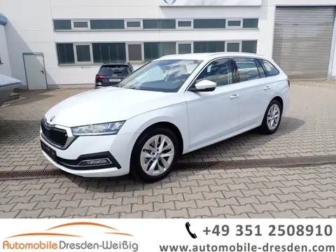 Used SKODA OCTAVIA Petrol 2023 Ad 