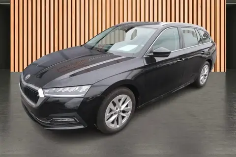 Annonce SKODA OCTAVIA Essence 2023 d'occasion 