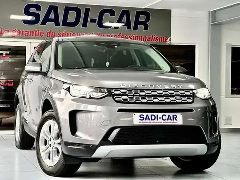 Used LAND ROVER DISCOVERY Diesel 2022 Ad Belgium