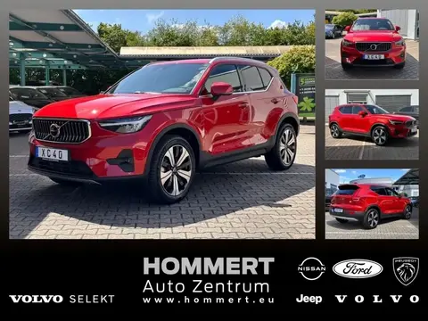 Used VOLVO XC40 Hybrid 2023 Ad 